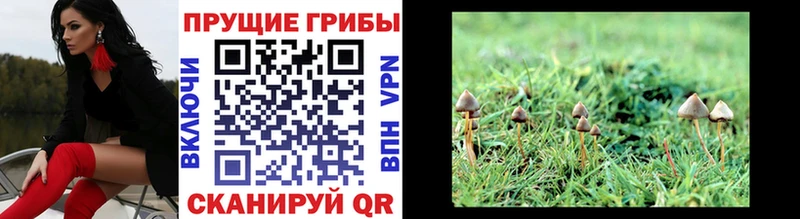 Галлюциногенные грибы MAGIC MUSHROOMS  blacksprut ТОР  Ливны 
